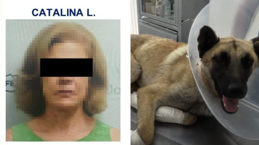 Dan prisión preventiva a mujer que arrastró a perrito con su camioneta en Tlaquepaque