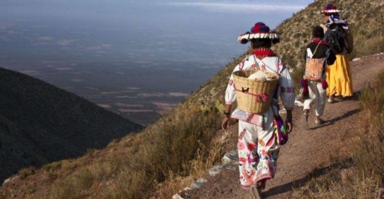 RUTA SAGRADA WIXÁRIKA: NUEVO PATRIMONIO DE LA HUMANIDAD