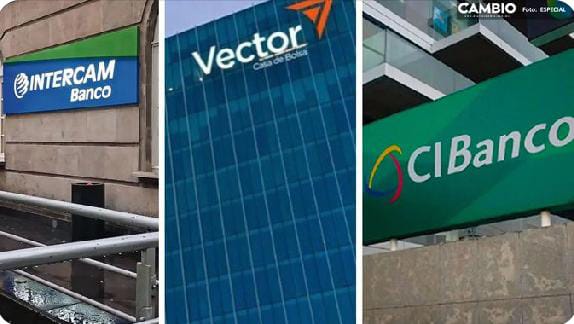 INTERCAM, CIBANCO Y VECTOR, SANCIONADOS POR LA CNBV